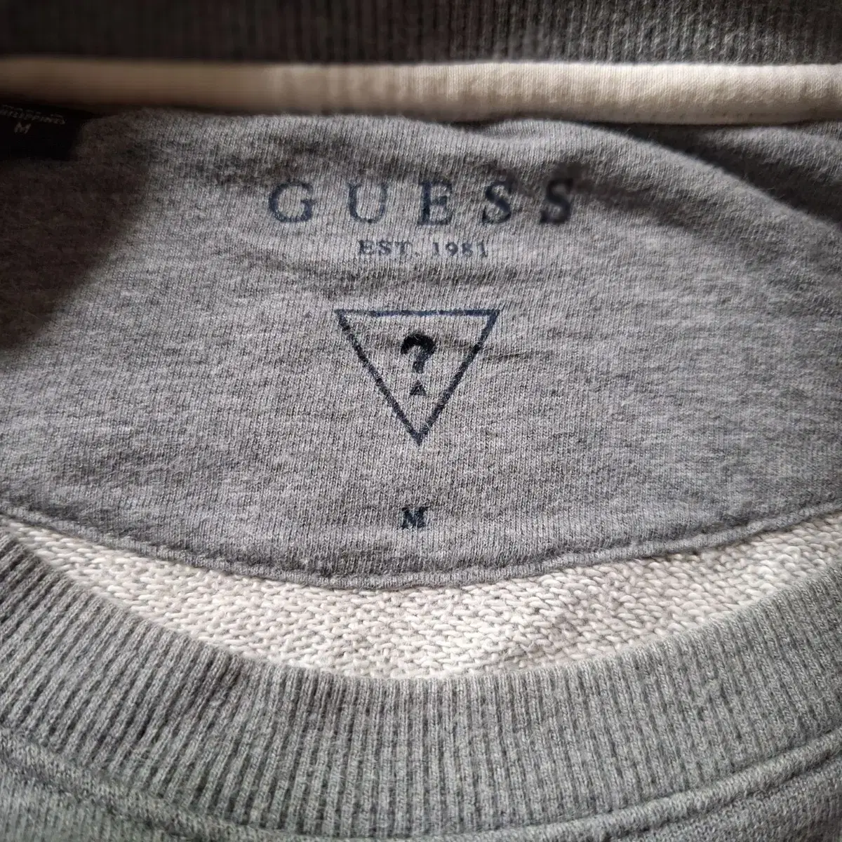 # GUESS(M)