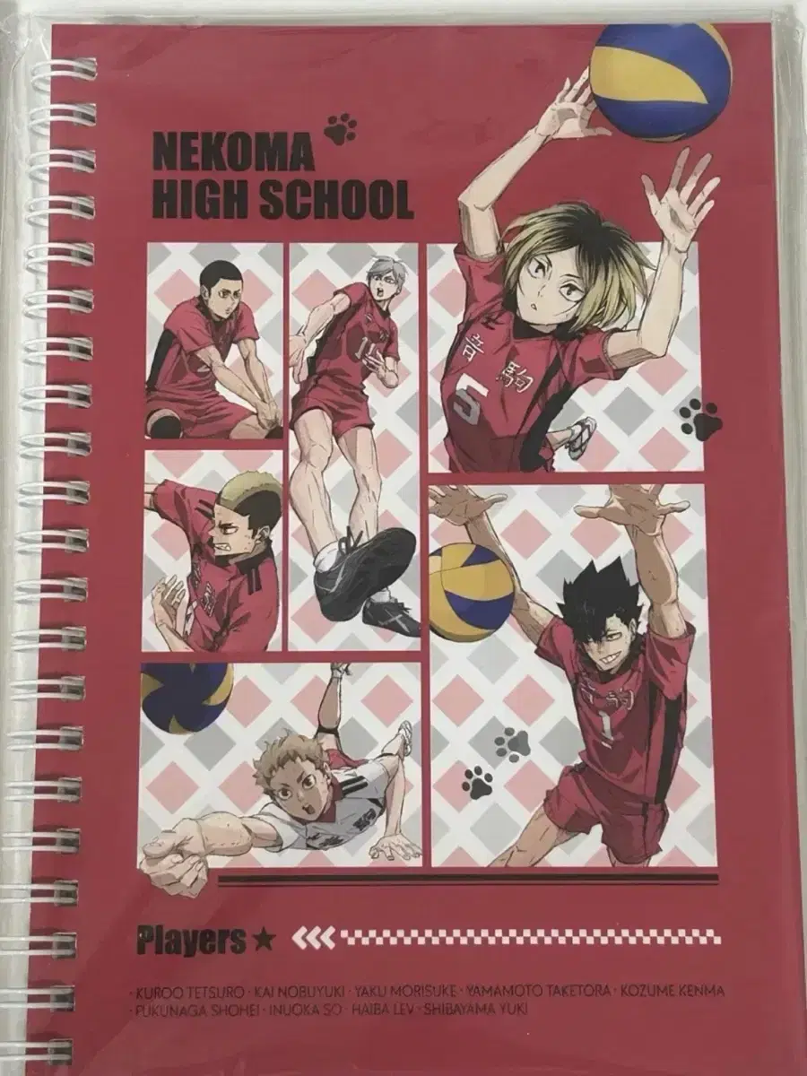 Haikyuu Dumpster Duel Nekoma The Modern Pop Up Notebook Sale