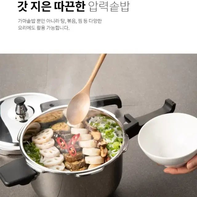 레오폴디 스텐 IH 압력솥 3L