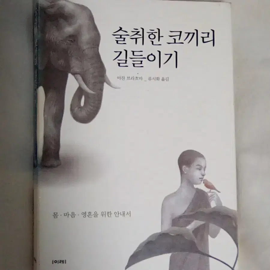 술취한 코끼리 길들이기 류시화