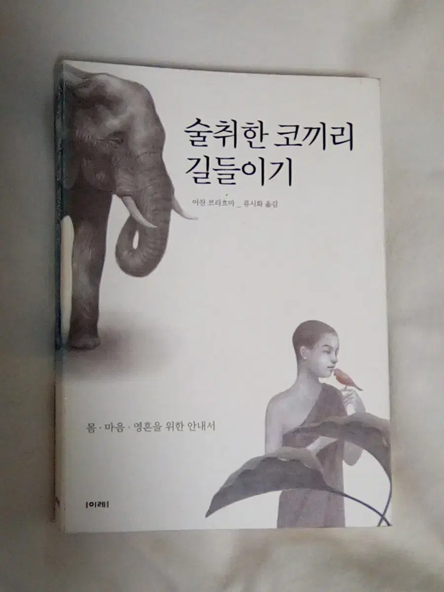 술취한 코끼리 길들이기 류시화