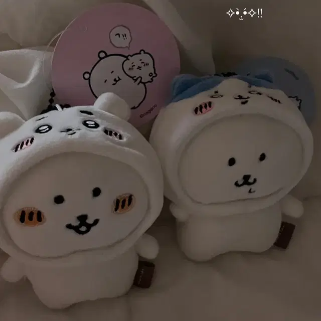 치이카와탈을쓴발그레곰(농담곰)