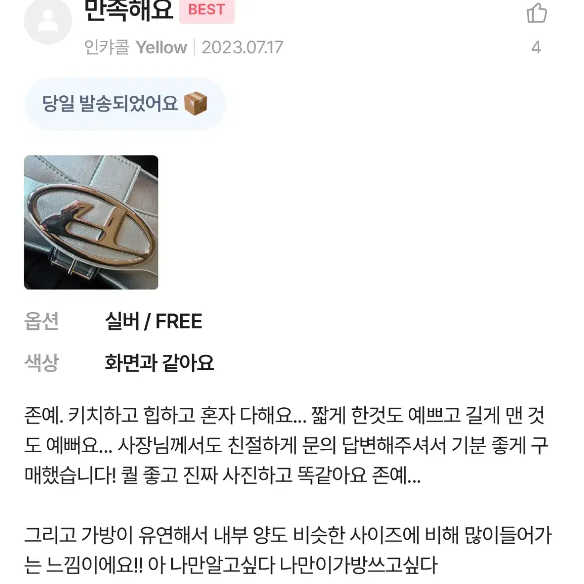 (실사후기있음) 실버백 버클 체인 크로스백 바게트백