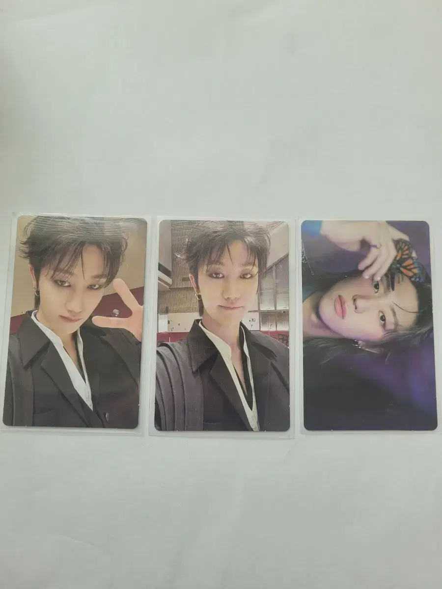 Maestro myungho photocard in bulk