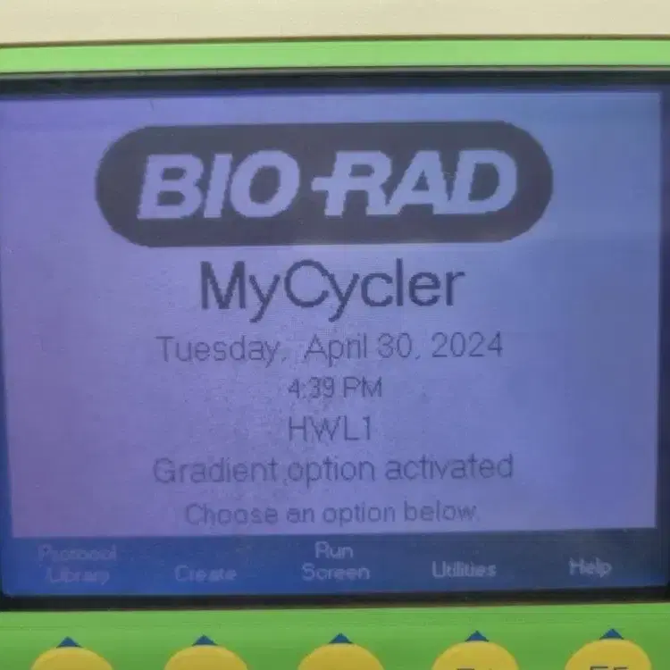 BIO-RAD MyCycler Thermal Cycler PCR열순환기.