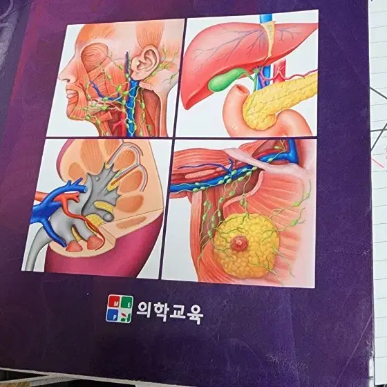 알기 쉬운 핵심 인체해부학