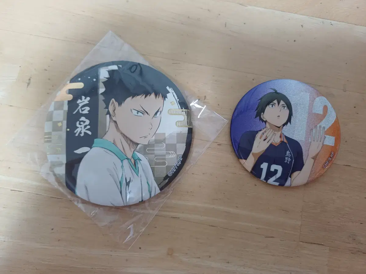 Haikyuu Canbadge Iwaizumi Yamaguchi