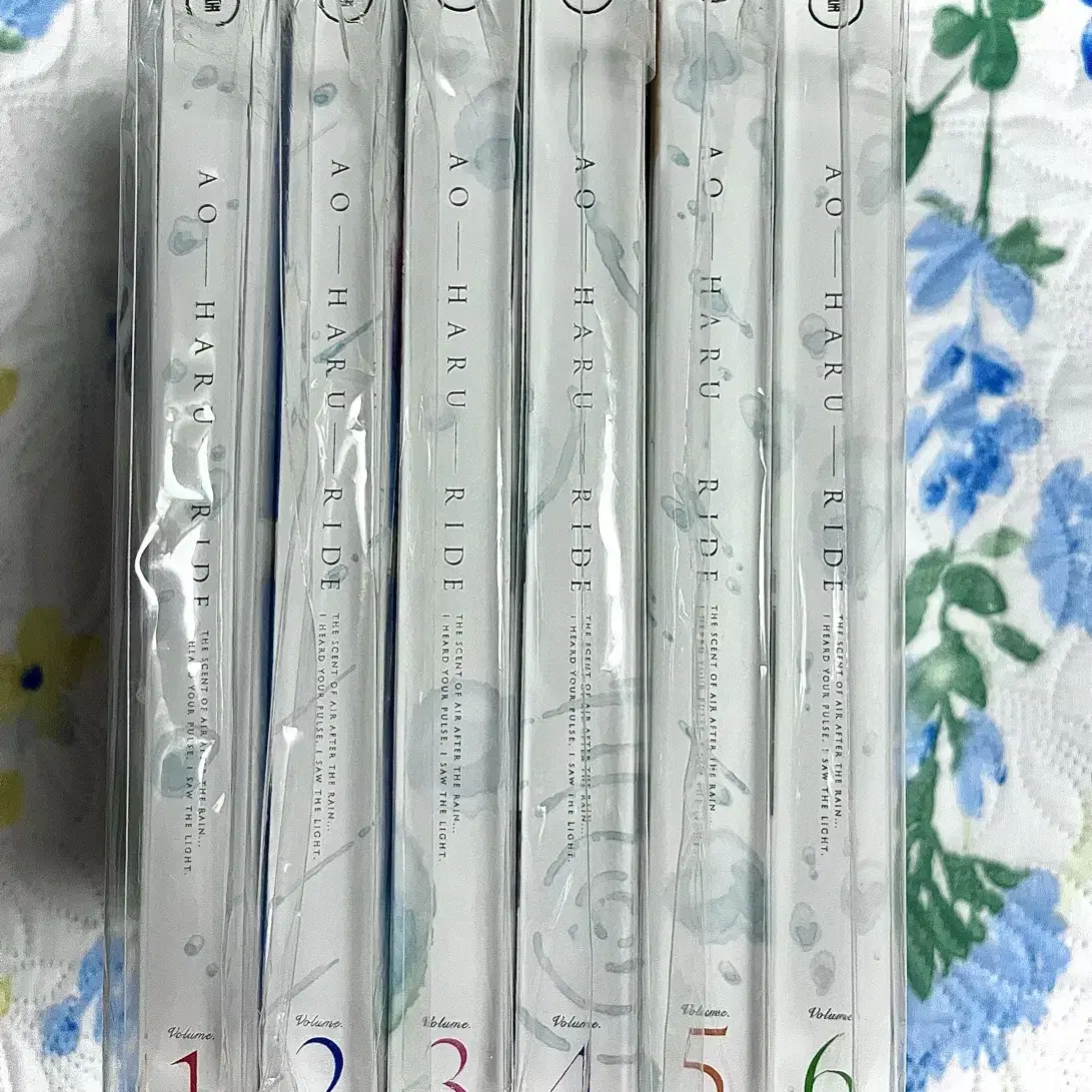 아오하라이드 1~6 DVD (전권)