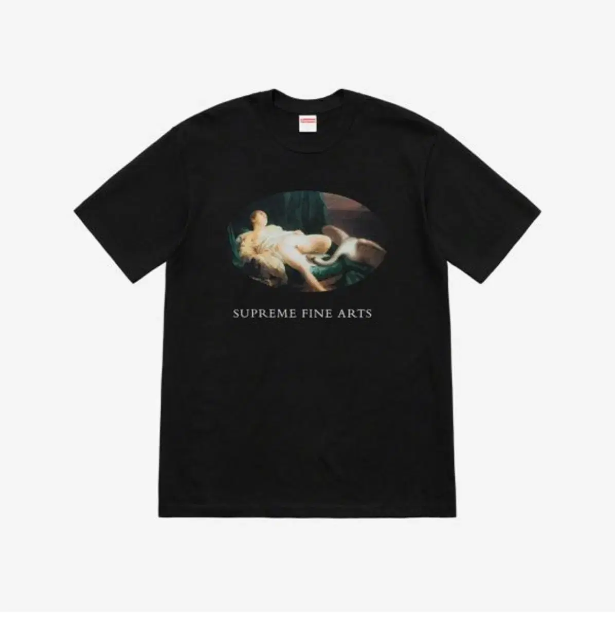 Supreme Supreme SS19 Reda and the Swan Short Sleeve T-shirt