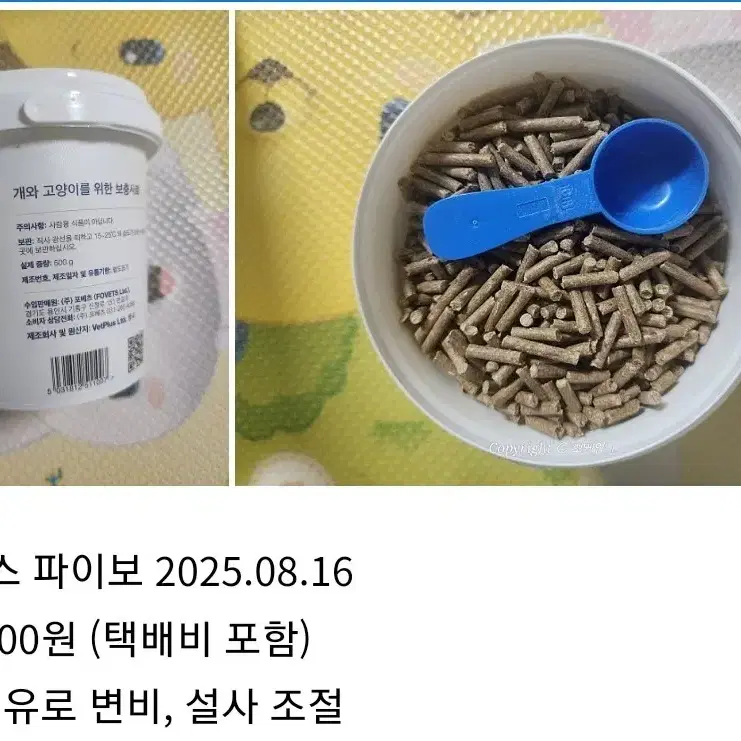 반려동물 각종 보조제 정리