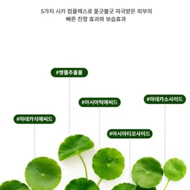 세라마이드 토너