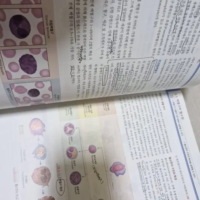 알기쉬운 인체해부학 /한종만 외 공저 / 학지사메디컬