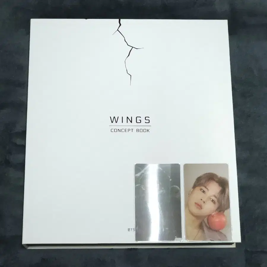 방탄 윙즈 컨셉북 BTS WINGS CONCEPT BOOK