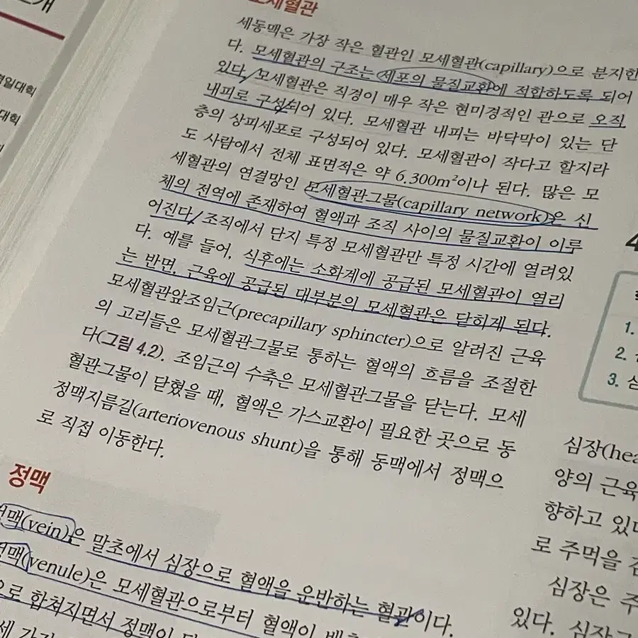 학지사 인체생물학 15판 (sylvia s.mader, 김영화 등)