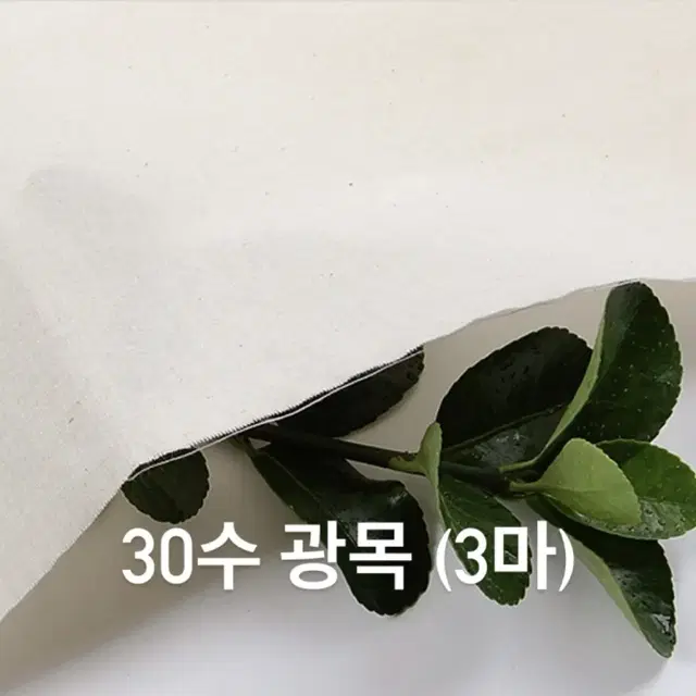 가격인하v 실습용 광목 30수