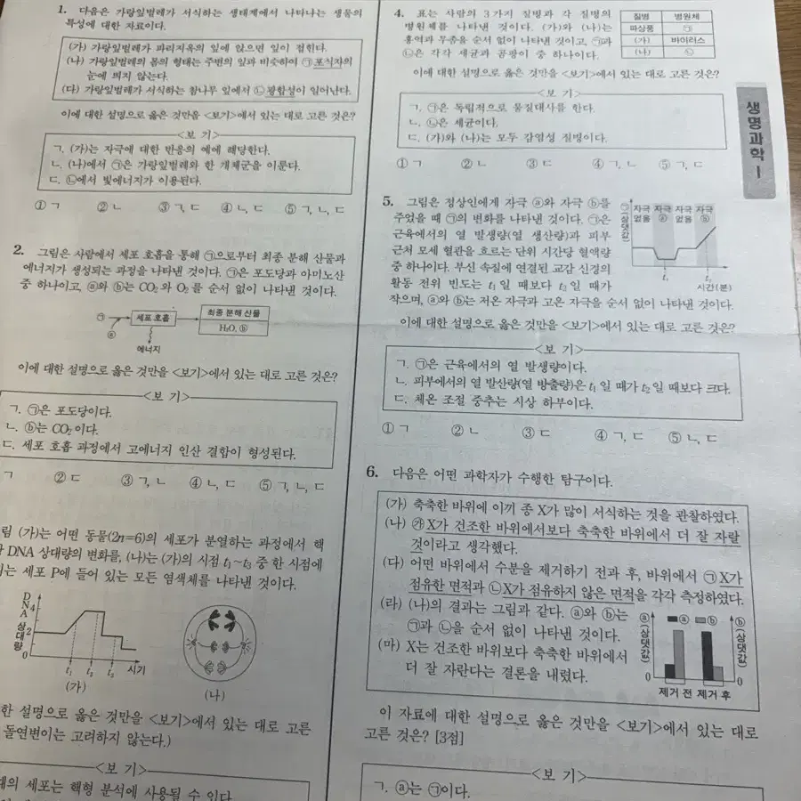 2024생명과학1 브릿지, 브릿지f, 서바알파