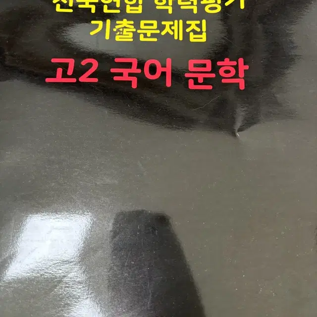 마더텅 고2 국어문학