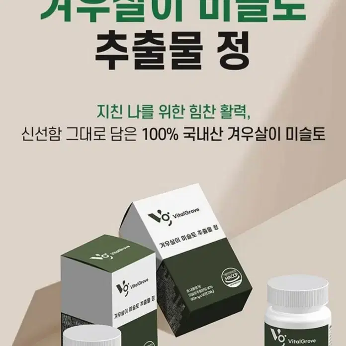 기력회복에는 국산 겨우살이 미슬토 추출물 600mg x 60정