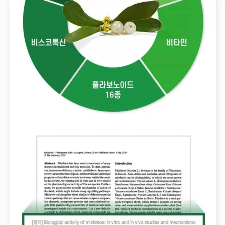 기력회복에는 국산 겨우살이 미슬토 추출물 600mg x 60정