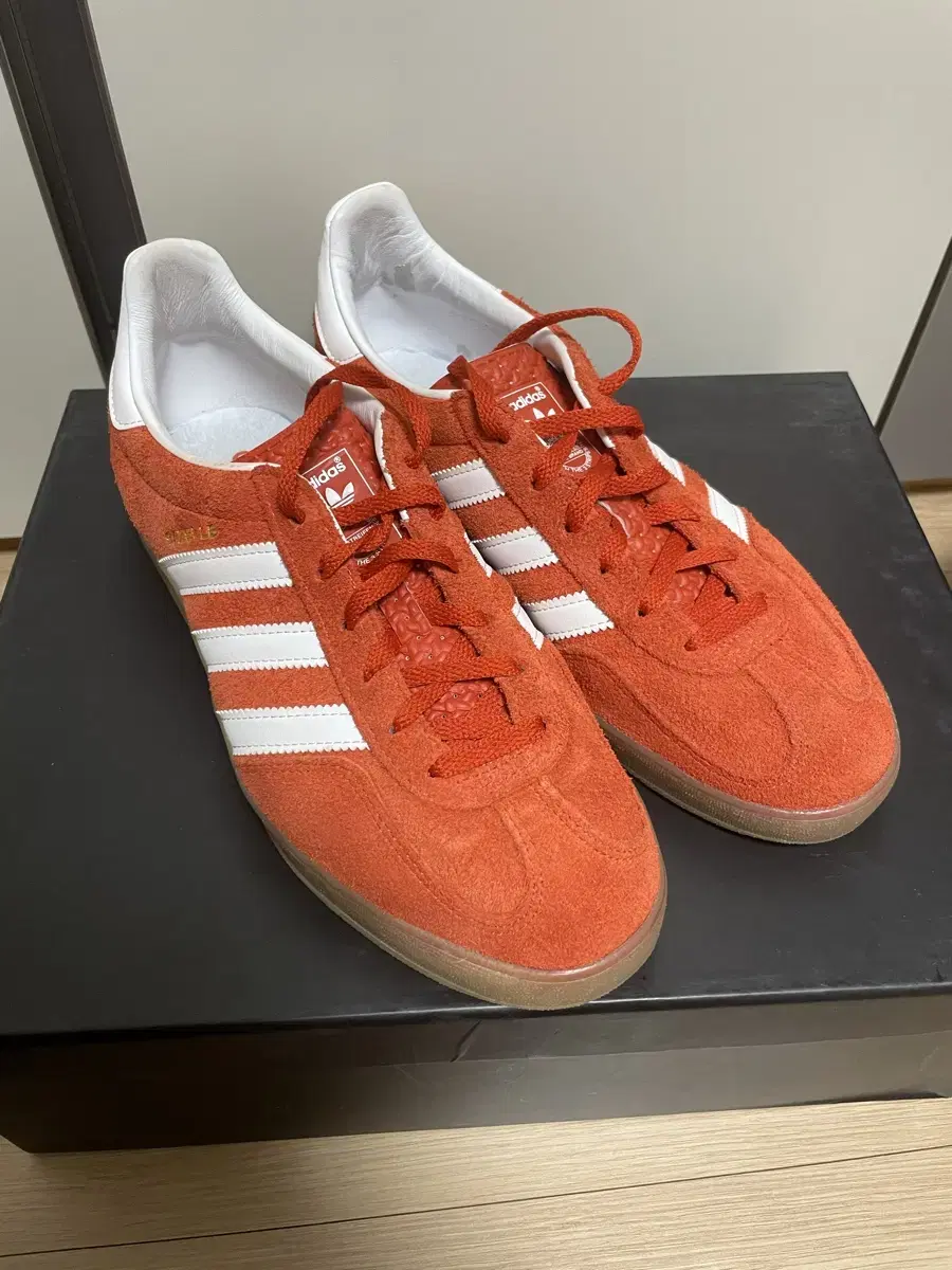 260) Gazelle Indoor Bold Orange Cloud White