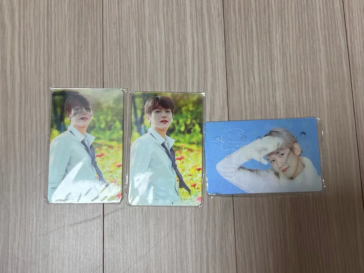 Baekhyun photocard Naturepublic lenticular WTS