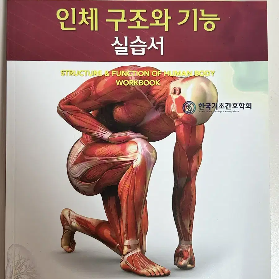 간호학과 전공책 판매 (인체구조와기능, 간호윤리학 등)