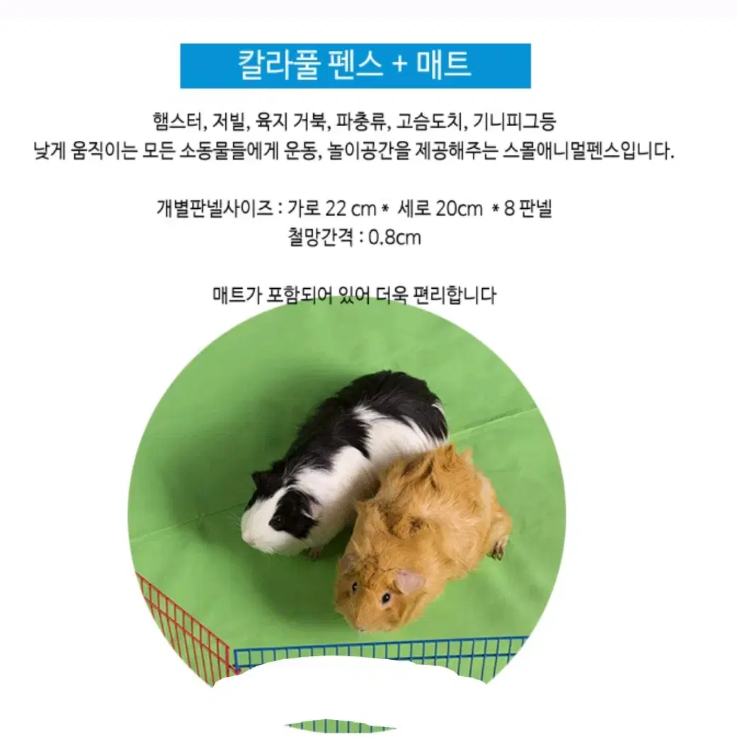 햄스터 물품 각각 판매합니다