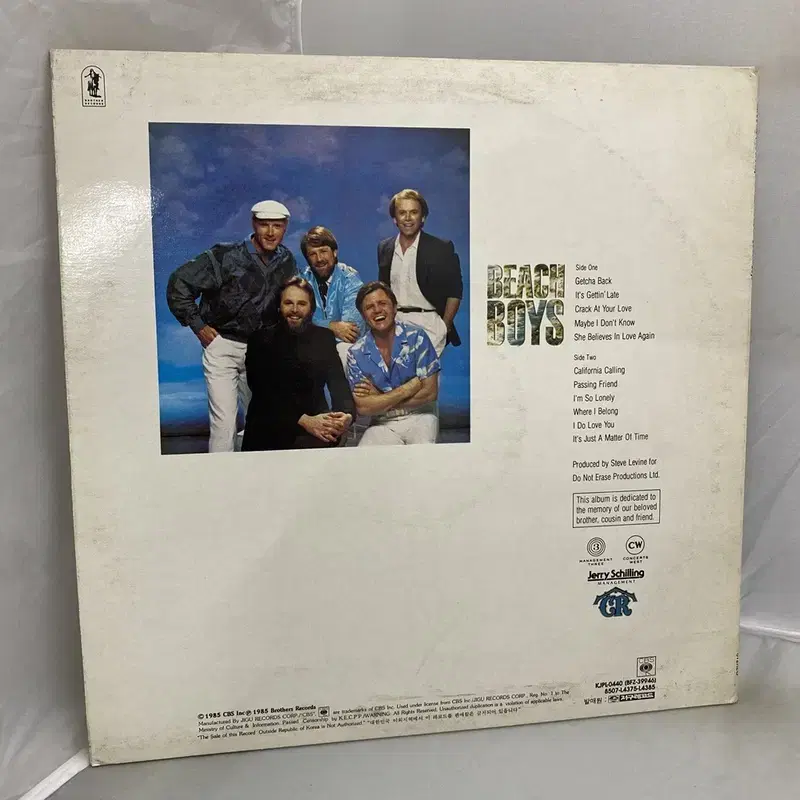 THE BEACH BOYS  LP / AA1268