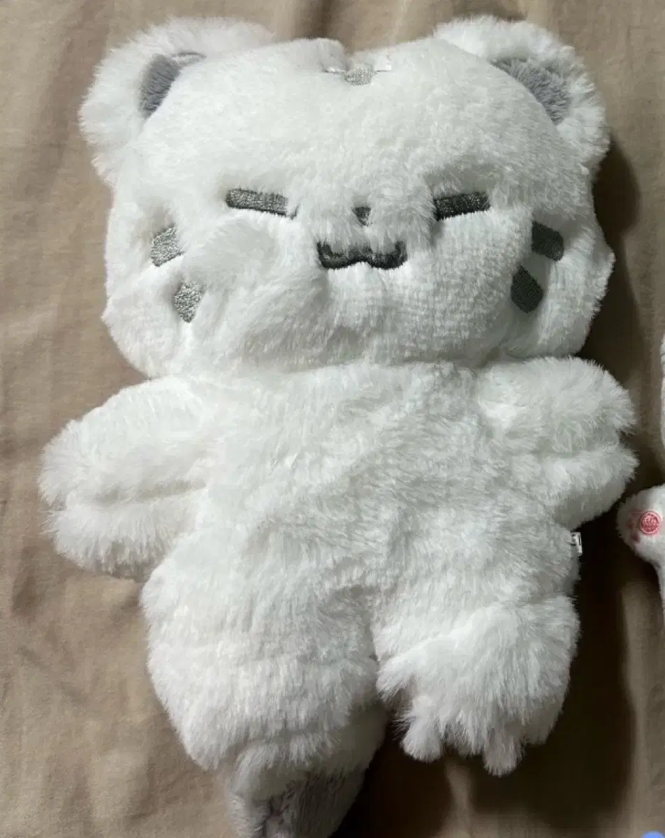 seventeen hoshi doll 20cm hochi sells