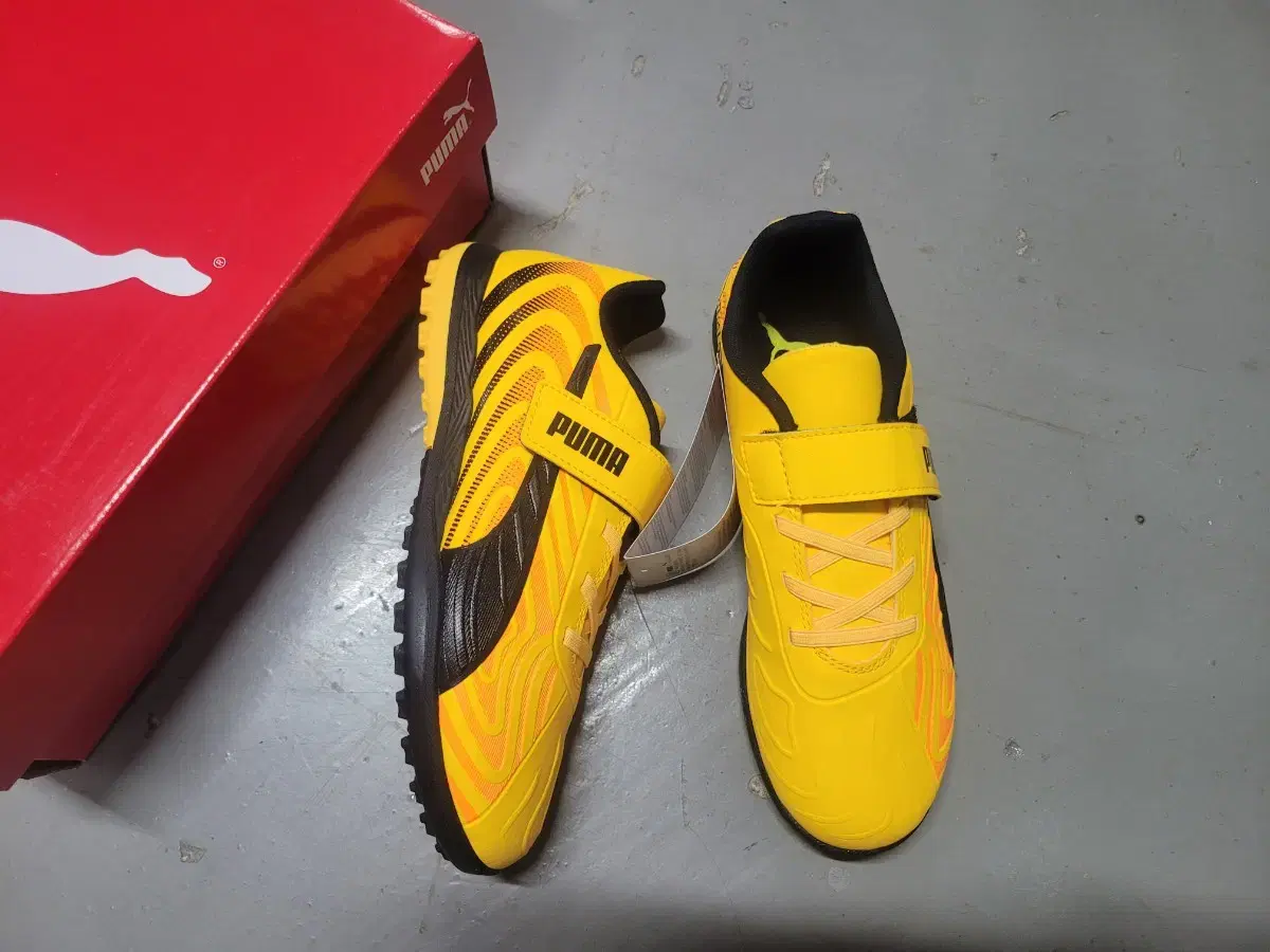 Box of new Puma children's futsal shoes 225 230