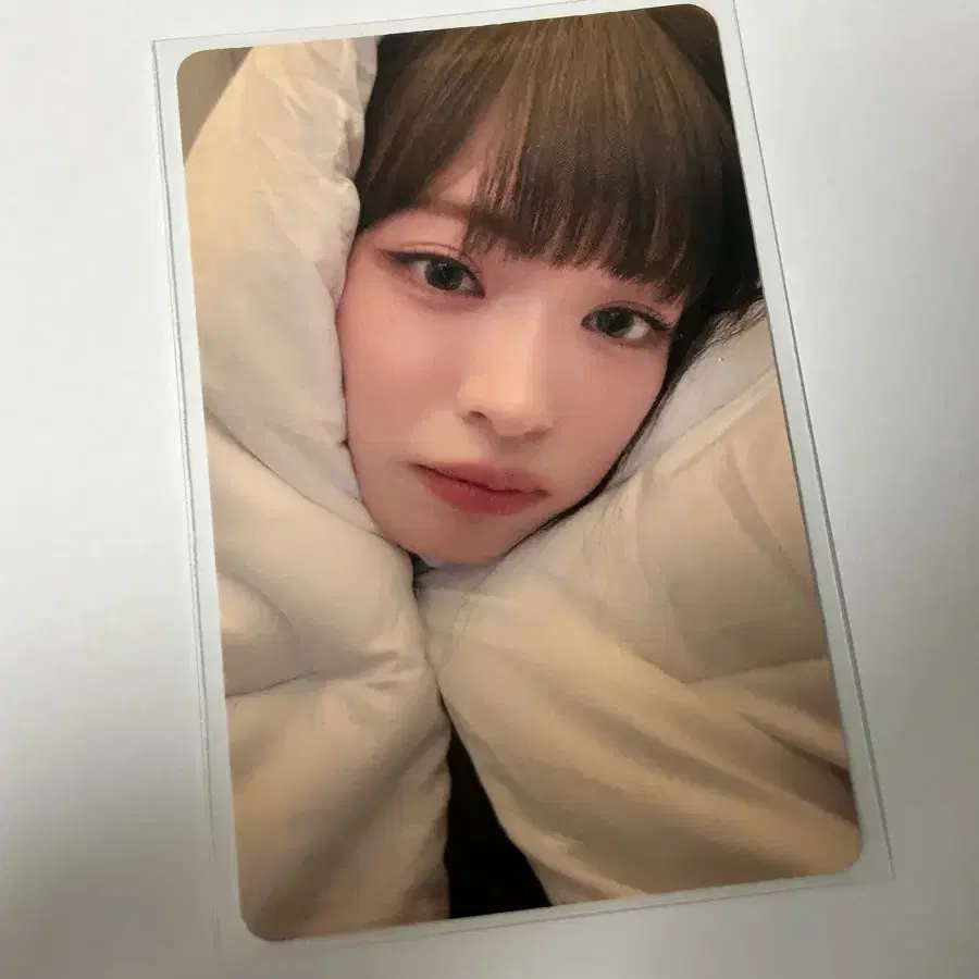 프로미스나인 이채영 이불포카 양도