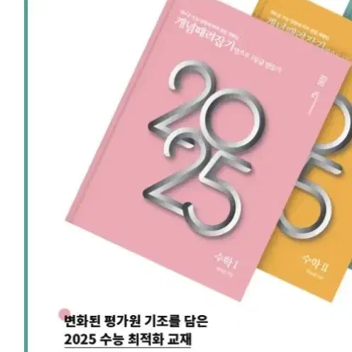 정승제 2025개때잡 수1