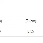 이세이미야케 베이직 티 새상품 검정