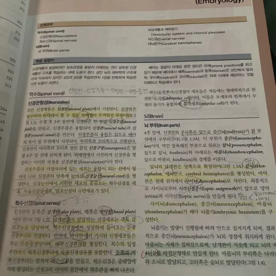 물리치료 전공책 의학용어 신경해부학 물리치료학개론