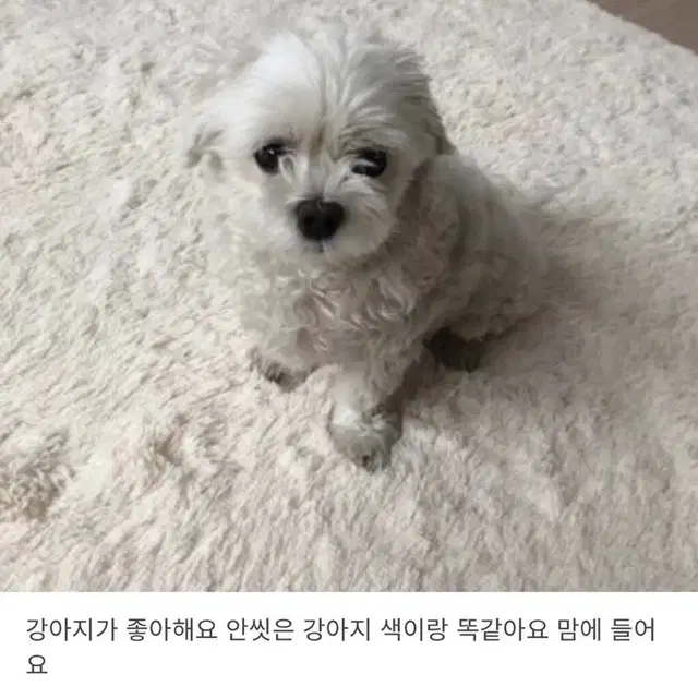 아이스 초코비님 전용결제창