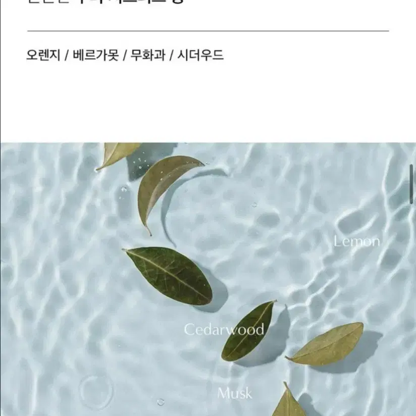 더블유드레스룸 라이프퍼퓸 100ml 휘그우디