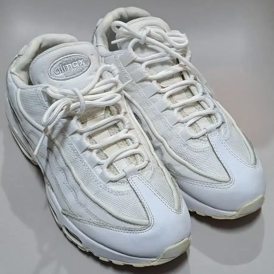 나이키 AIR MAX 95  CT1268-100 250