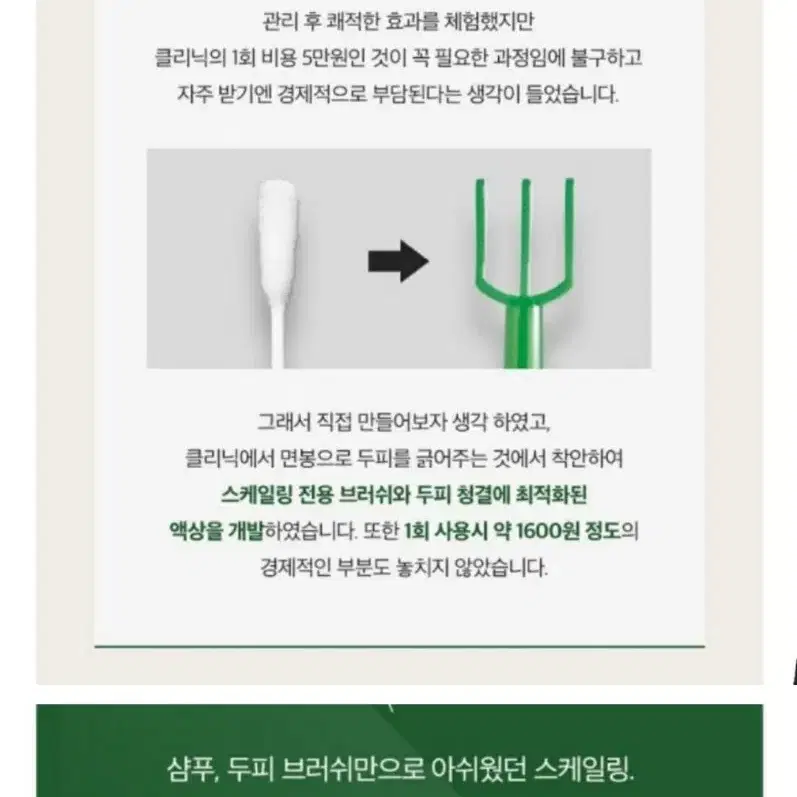 두피스케일링