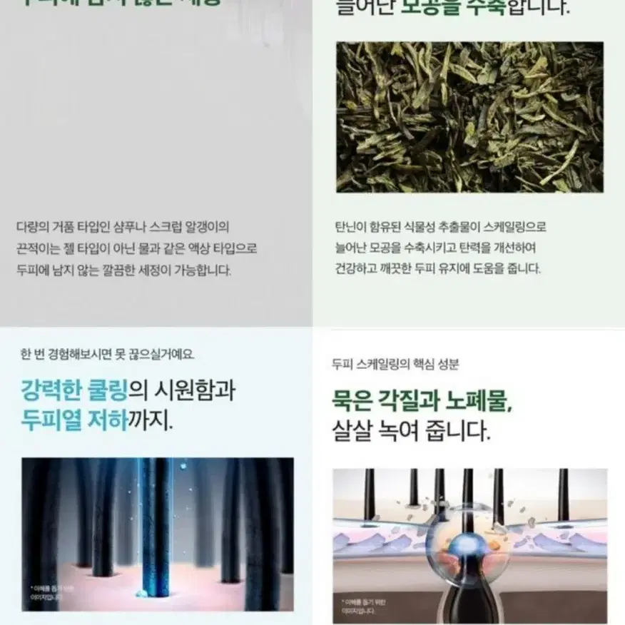 두피스케일링