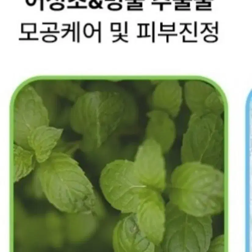 바디필링젤