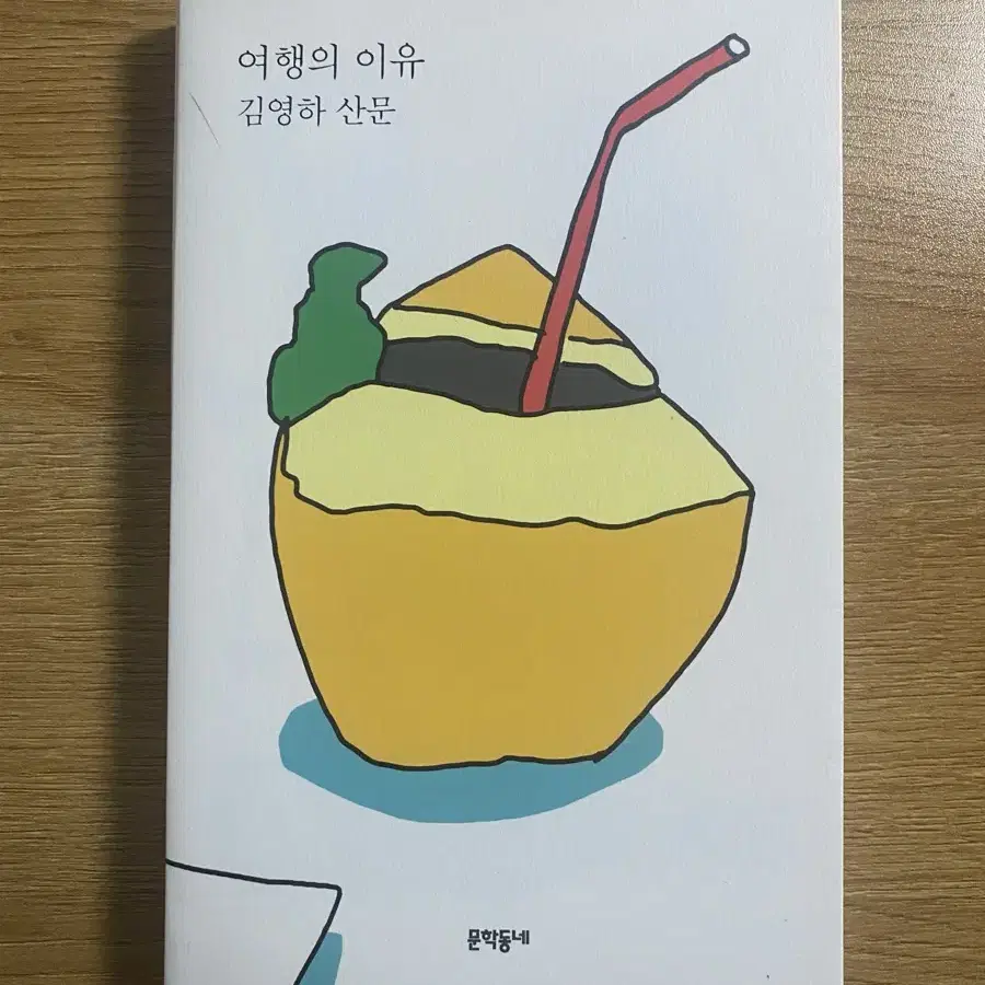 여행의 이유 김영화 산문