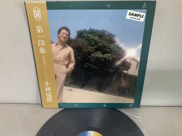 [JPOP] Michihiro Kobayashi LP