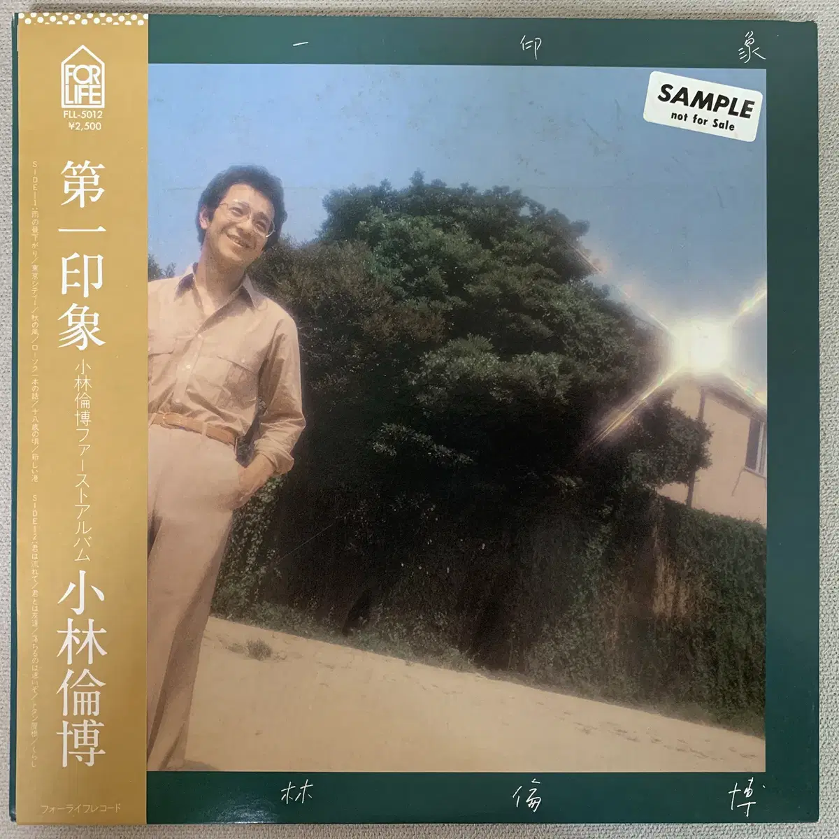 [JPOP] Michihiro Kobayashi LP