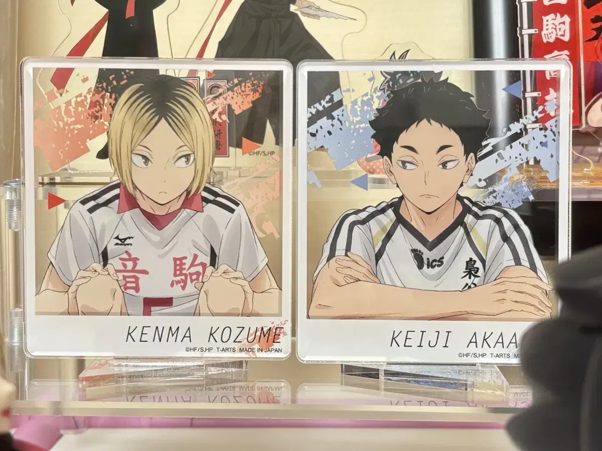 Haikyuu Kenma Akaashi acrylic stand bulk VS Rival zoomy