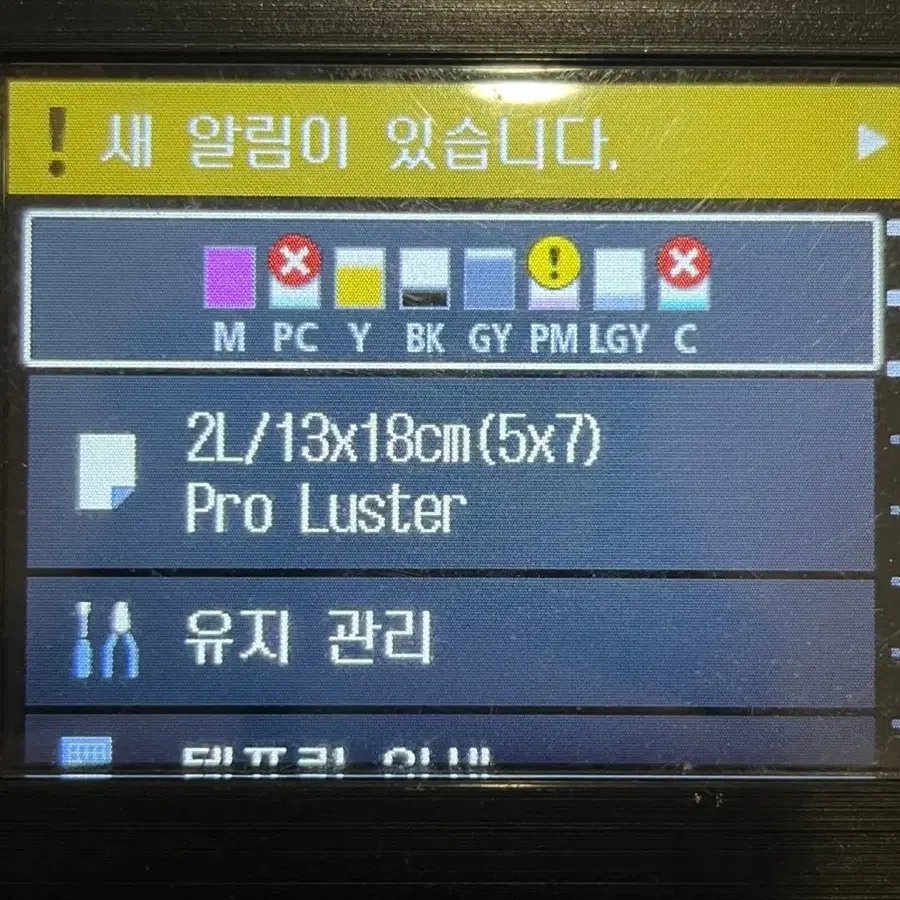 캐논 전문가용 포토프린터 pro200