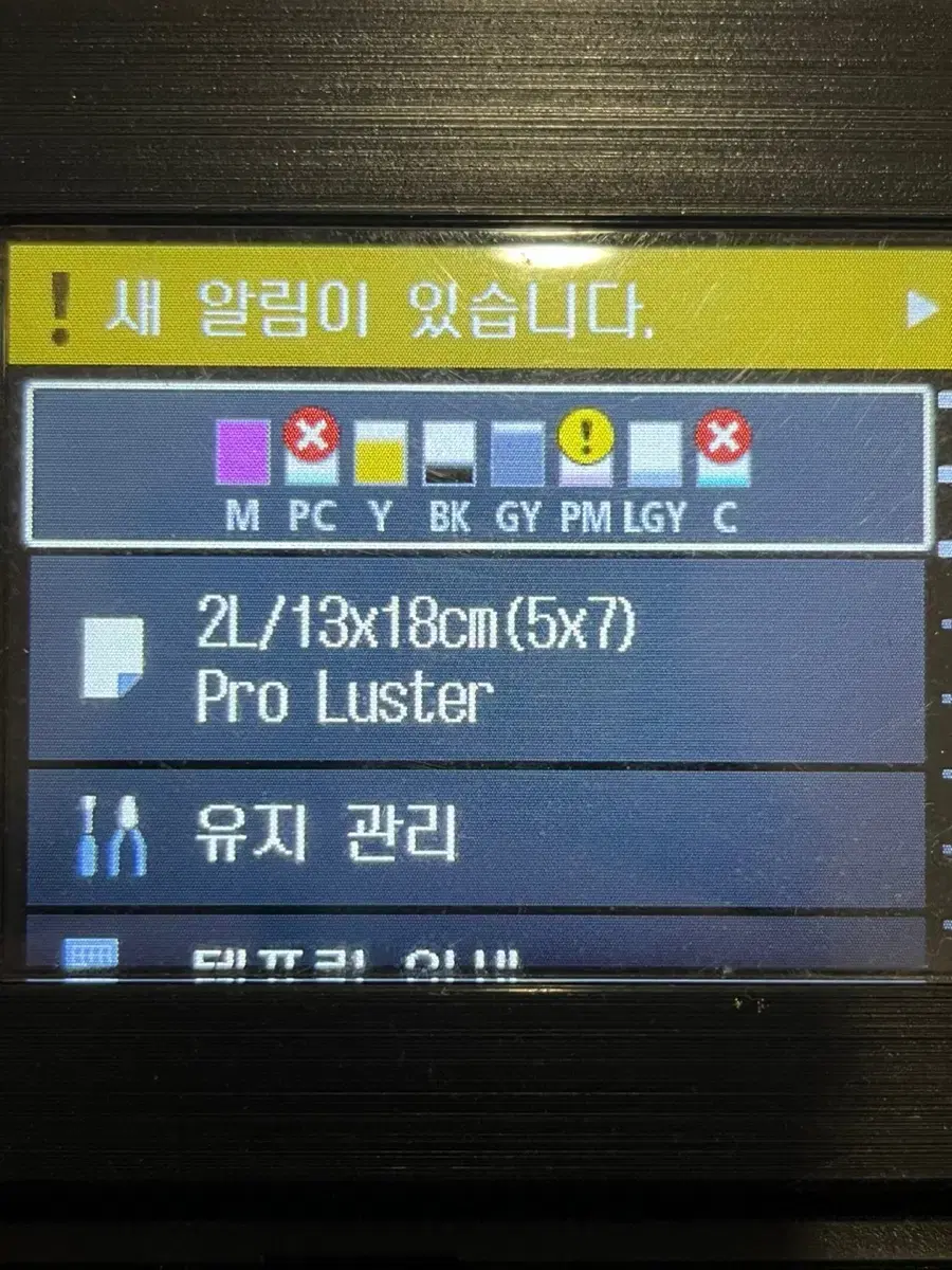 캐논 전문가용 포토프린터 pro200