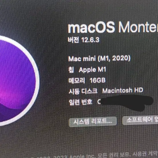 (초급처)맥미니 M1 16gb 1tb + hdd 1tb + usb인식기