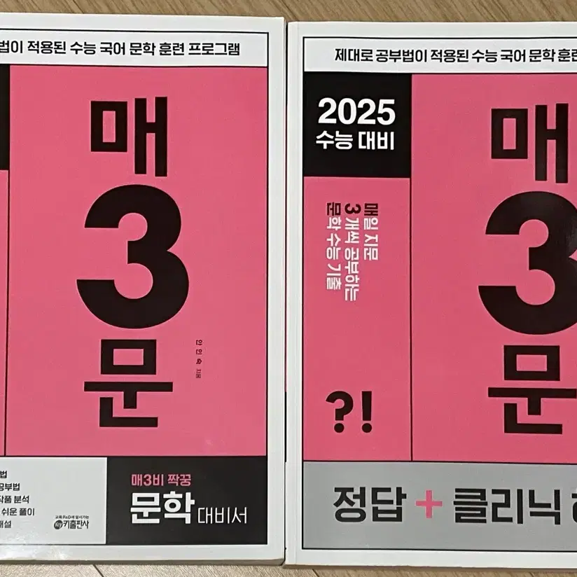 국어 문학 2025 수능대비 매3문