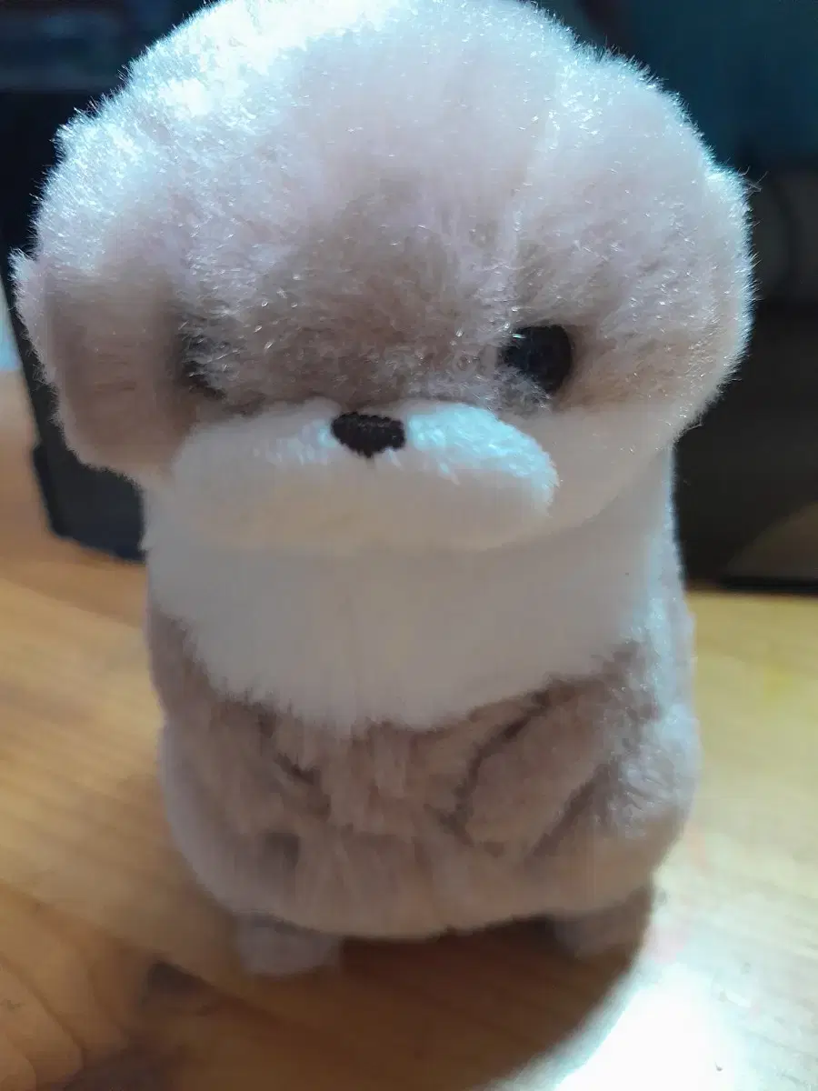 lee chan otter doll sell it