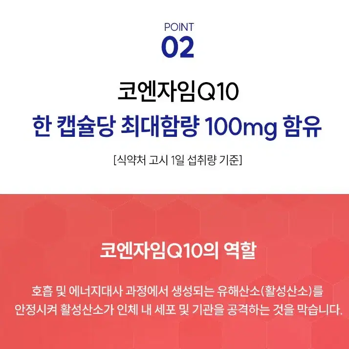 무료배송 데일리 웰니스 오메가코큐텐 60캡슐 항산화  코엔자임 Q 10